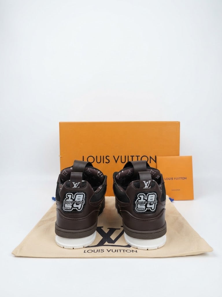 Louis Vuitton Skate Sneakers Brown